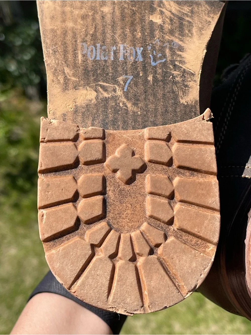 Polar Fox great some